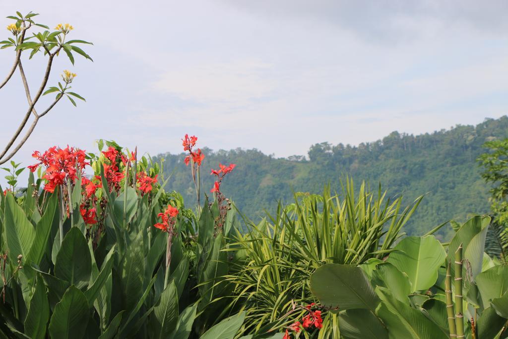 Kanda Homestay Sidemen  Luaran gambar